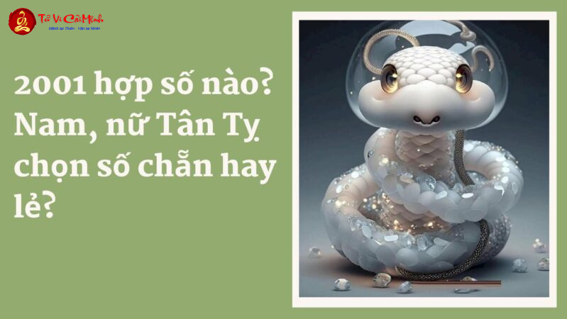 Sinh năm 2001 hợp số mấy? Sim phong thủy cho người sinh năm 2001