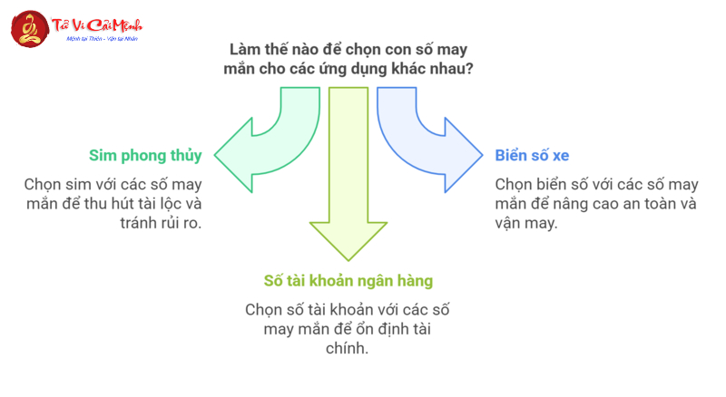 Sinh Năm 2001 Hợp Số Mấy? Chọn Sim Phong Thủy Hút Tài Lộc Và May Mắn