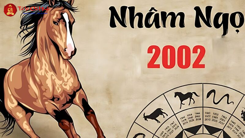 Sinh Năm 2002 Hợp Hướng Nào? Chọn Hướng Nhà, Hướng Bàn Làm Việc Để Hút Tài Lộc