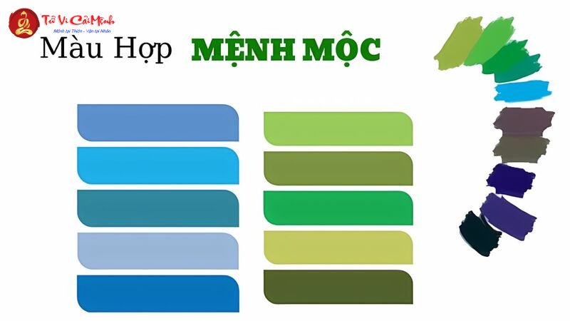 Sinh Năm 2002 Hợp Màu Gì? Chọn Màu Sắc Hợp Mệnh Để Thu Hút May Mắn Và Tài Lộc