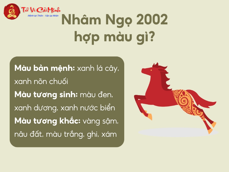 Sinh Năm 2002 Hợp Màu Gì? Chọn Màu Sắc Hợp Mệnh Để Thu Hút May Mắn Và Tài Lộc