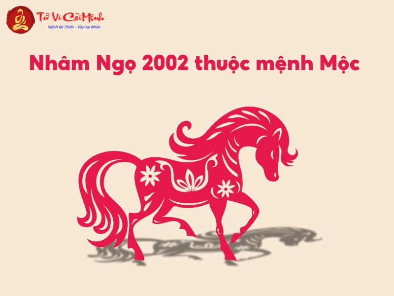 Tuổi Nhâm Ngọ 2002 – Khám Phá Vận Mệnh Và Bí Quyết Mệnh Mộc