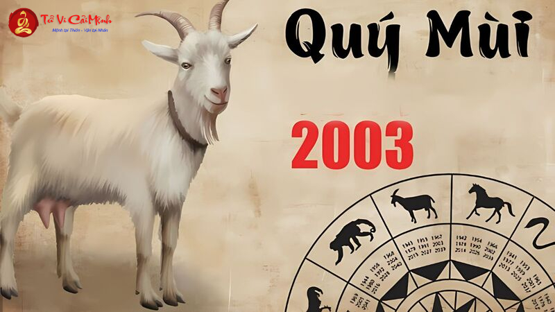 Hướng Bàn Làm Việc Cho Người Sinh Năm 2003: Chọn Đúng Hướng Để Sự Nghiệp Thăng Tiến