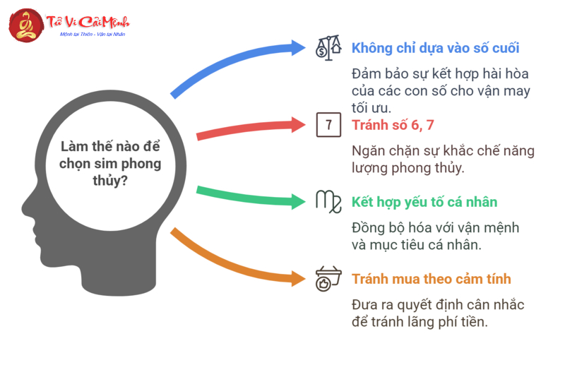 Sinh Năm 2003 Hợp Số Mấy? Cách Chọn Sim Phong Thủy Giúp Tăng Tài Lộc