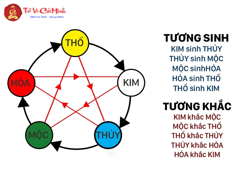 Sinh Năm 2004 Hợp Màu Gì? Chọn Màu Sắc Phong Thủy Để Thu Hút Tài Lộc