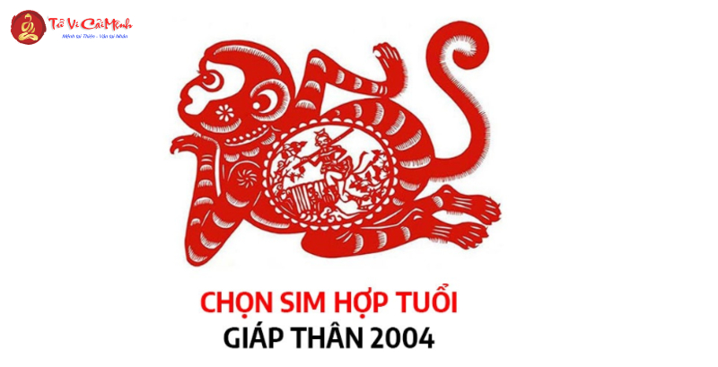 Sinh Năm 2004 Hợp Số Mấy? Chọn Sim Phong Thủy Hợp Mệnh Để Thu Hút Tài Lộc