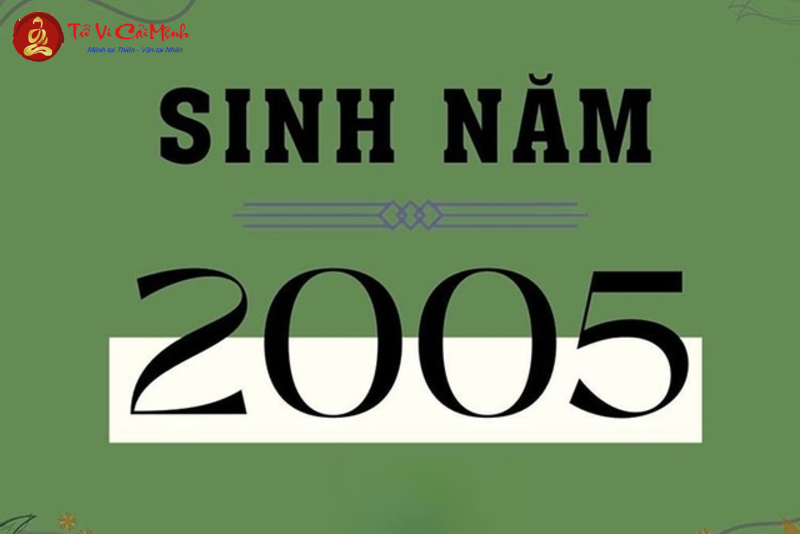 Sinh Năm 2005 Hợp Hướng Nào? Chọn Hướng Nhà, Hướng Bàn Làm Việc Để Thu Hút Tài Lộc