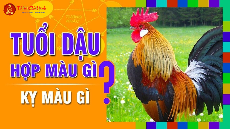 Sinh Năm 2005 Hợp Màu Gì? Chọn Màu Sắc Phong Thủy Để Tăng Tài Lộc