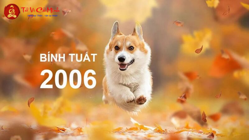 Sinh Năm 2006 Hợp Hướng Nào? Chọn Hướng Nhà, Hướng Bàn Làm Việc Để Hút Tài Lộc