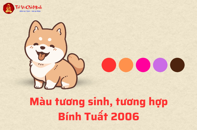 Sinh năm 2006 hợp màu gì? Khám phá bí quyết màu sắc phong thủy cho tuổi Bính Tuất