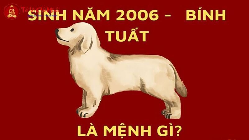 Tuổi Bính Tuất 2006 – Khám Phá Vận Mệnh Và Bí Quyết Mệnh Thổ