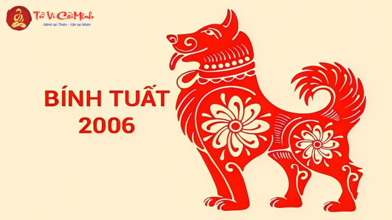 Sinh Năm 2006 Mua Xe Màu Gì? Chọn Màu Xe Hợp Phong Thủy Để Tăng Tài Lộc