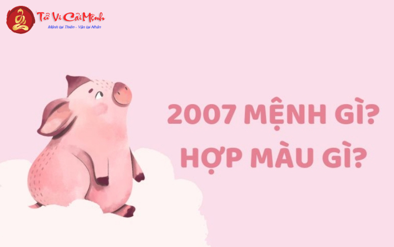 Sinh Năm 2007 Hợp Màu Gì? Chọn Màu Sắc Phong Thủy Để Tăng Tài Lộc