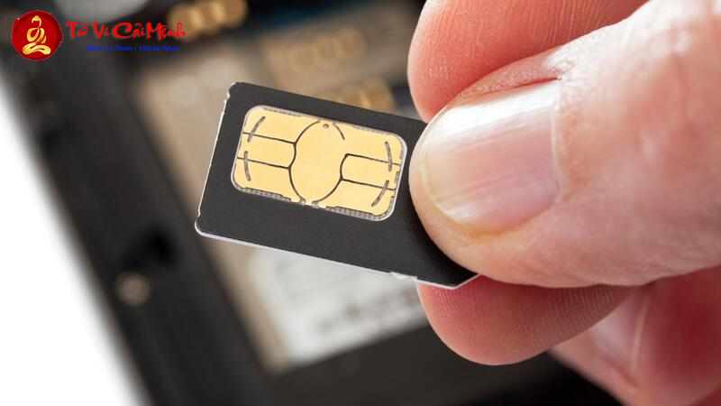 Sinh Năm 2008 Hợp Số Mấy? Chọn Sim Phong Thủy Hợp Mệnh Để Thu Hút Tài Lộc