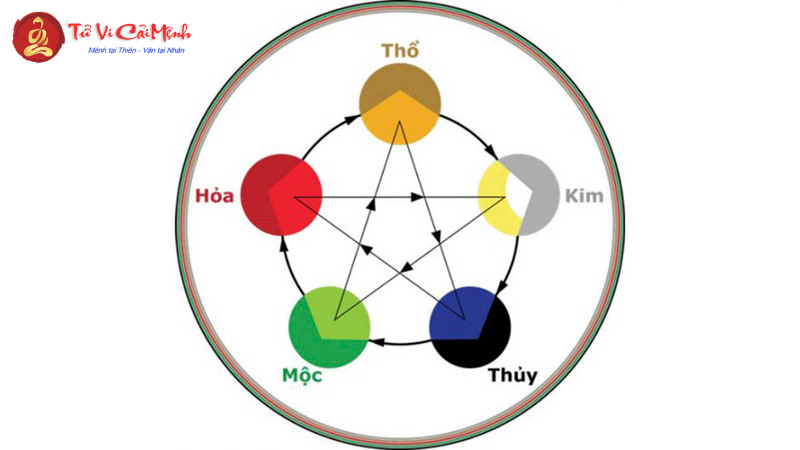 Sinh Năm 2009 Hợp Màu Gì? Chọn Màu Sắc Phong Thủy Để Thu Hút Tài Lộc