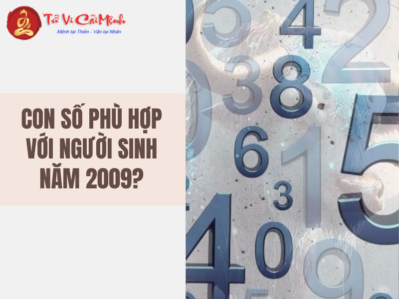 Sinh Năm 2009 Hợp Số Mấy? Chọn Số Phong Thủy Và Sim Hợp Tuổi Kỷ Sửu