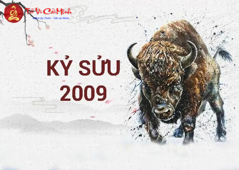 Sinh Năm 2009 Mua Xe Màu Gì? Chọn Màu Xe Hợp Phong Thủy Để Tăng Tài Lộc