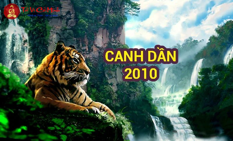 Hướng Bàn Làm Việc Cho Người Sinh Năm 2010 Giúp Tăng Tài Lộc Và Hiệu Suất