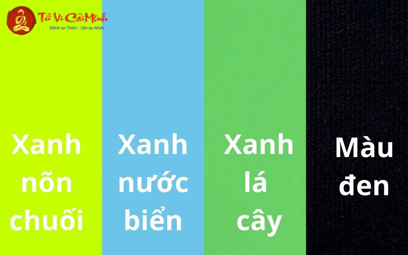 Sinh Năm 2010 Hợp Màu Gì? Chọn Màu Phong Thủy Để Thu Hút May Mắn