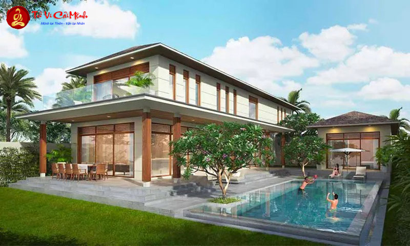 Sinh năm 2010 mệnh gì? Khám phá bí ẩn Canh Dần mệnh Tùng Bách Mộc