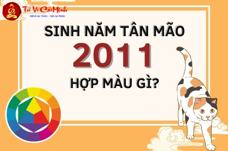 Sinh Năm 2011 Hợp Màu Gì? Chọn Màu Phong Thủy Giúp Tăng Tài Lộc Và May Mắn