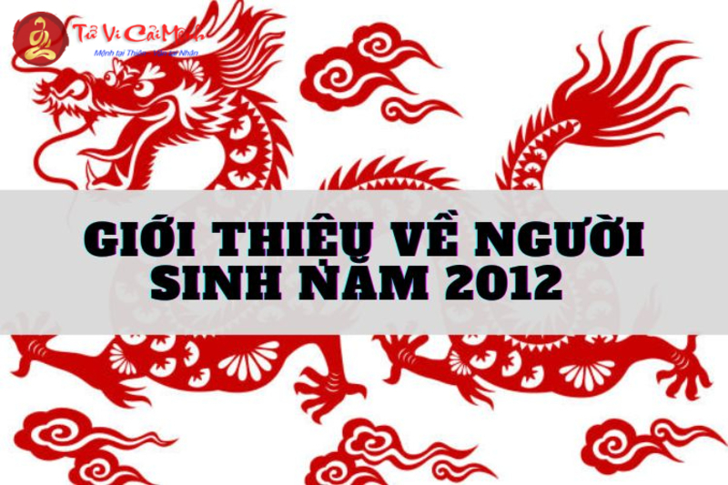 Sinh Năm 2012 Mua Xe Màu Gì? Chọn Màu Xe Hợp Mệnh Để Thu Hút May Mắn