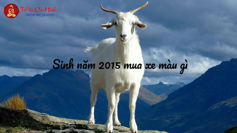 Sinh Năm 2015 Mua Xe Màu Gì? Chọn Màu Xe Hợp Phong Thủy Giúp Tăng Tài Lộc