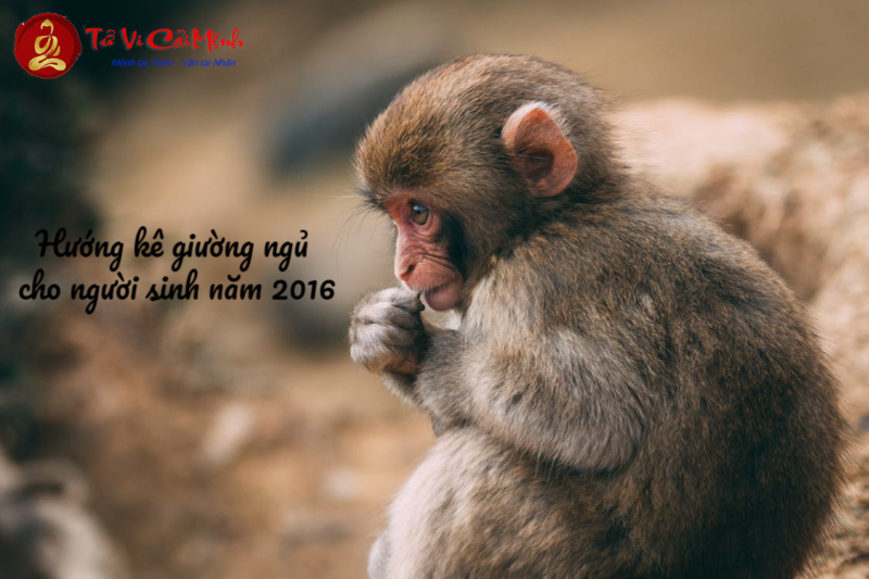 Hướng Kê Giường Ngủ Cho Người Sinh Năm 2016 Giúp Cải Thiện Vận Khí Và Sức Khỏe