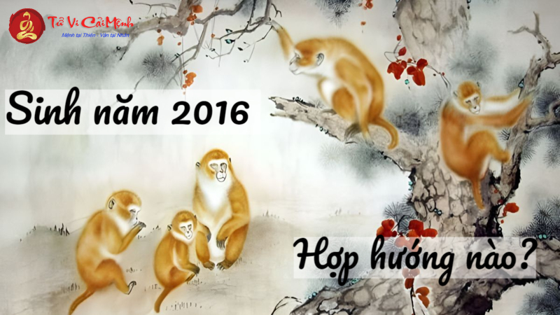 Sinh Năm 2016 Hợp Hướng Nào? Cách Chọn Hướng Nhà Để Tăng Vượng Khí