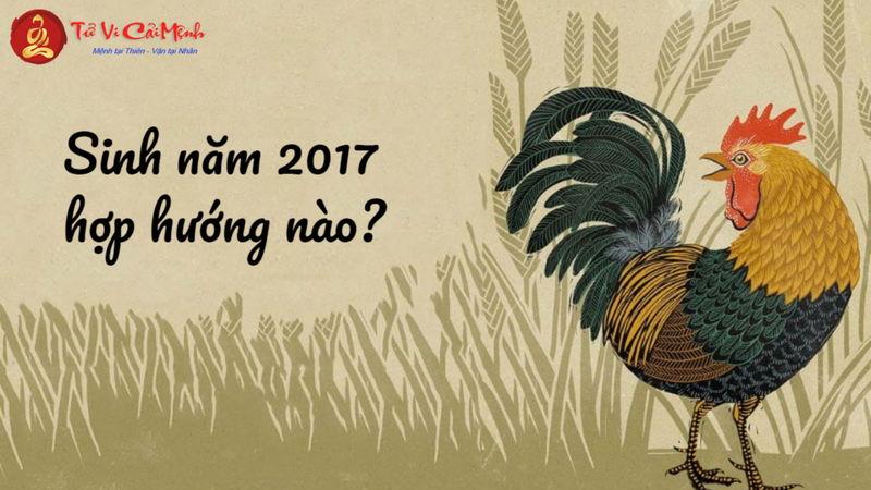 Sinh Năm 2017 Hợp Hướng Nào? Chọn Hướng Nhà, Hướng Phòng Giúp Tăng Vượng Khí