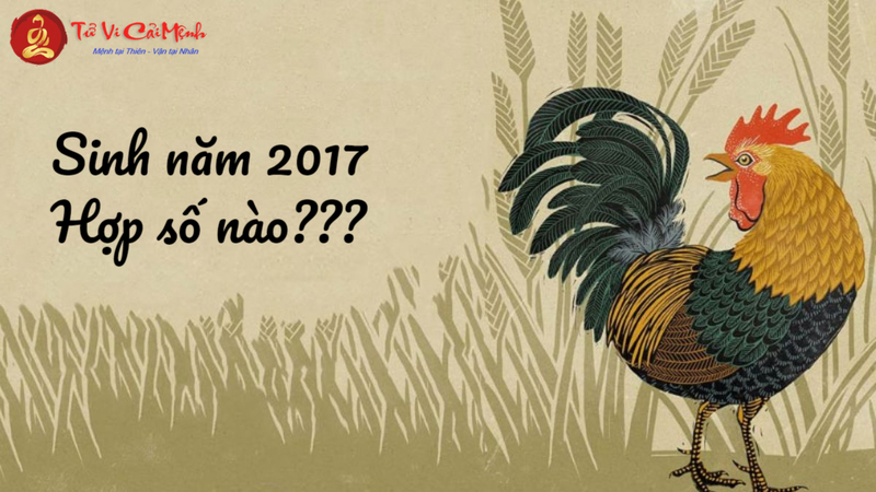 Sinh Năm 2017 Hợp Số Mấy? Chọn Sim Phong Thủy Mang Lại Tài Lộc