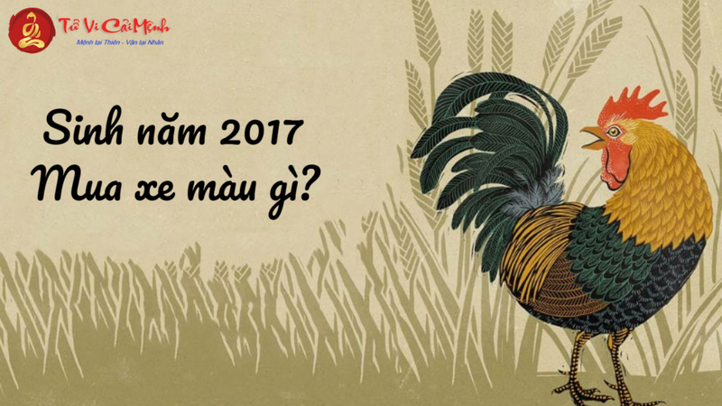 Sinh Năm 2017 Mua Xe Màu Gì? Chọn Màu Xe Hợp Phong Thủy Để Thu Hút May Mắn