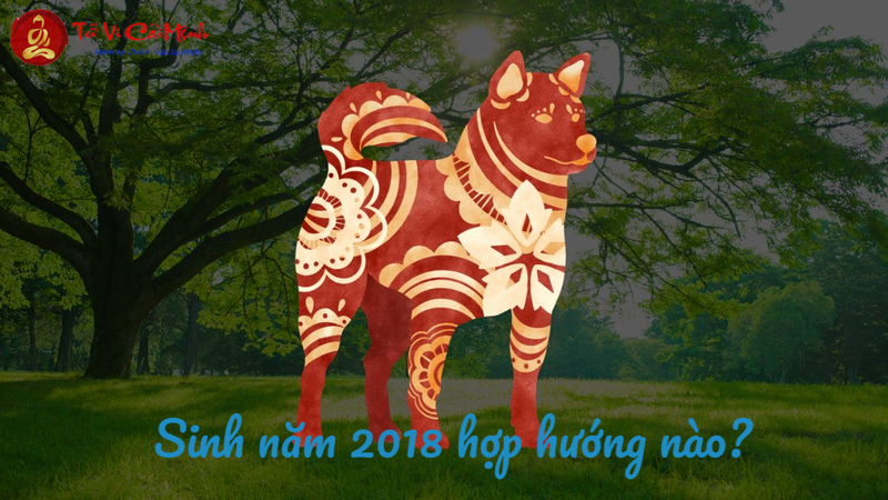 Sinh Năm 2018 Hợp Hướng Nào? Chọn Hướng Nhà Để Gặp May Mắn Và Tài Lộc