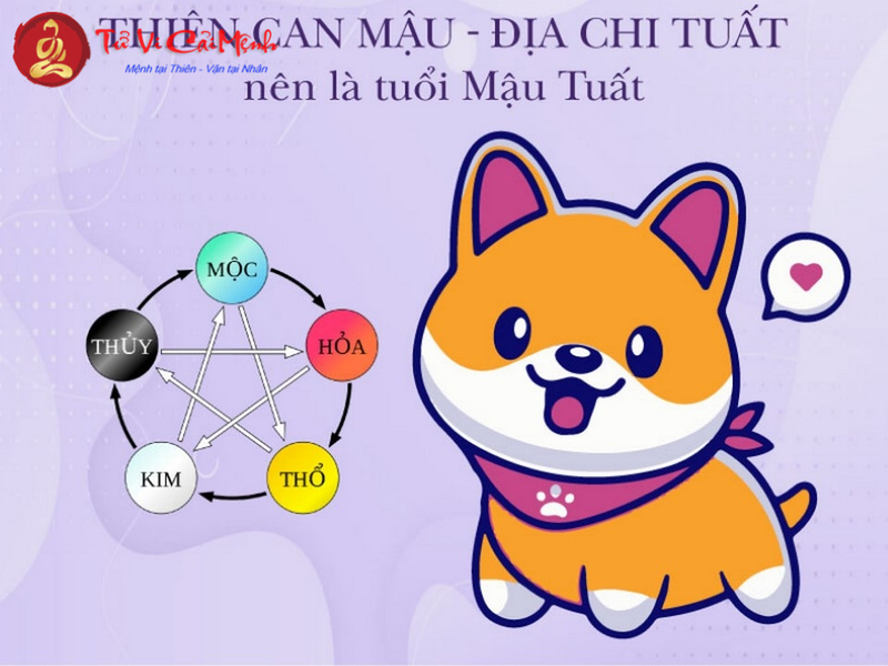 Sinh Năm 2018 Hợp Màu Gì? Chọn Màu Phong Thủy Giúp Gia Tăng May Mắn