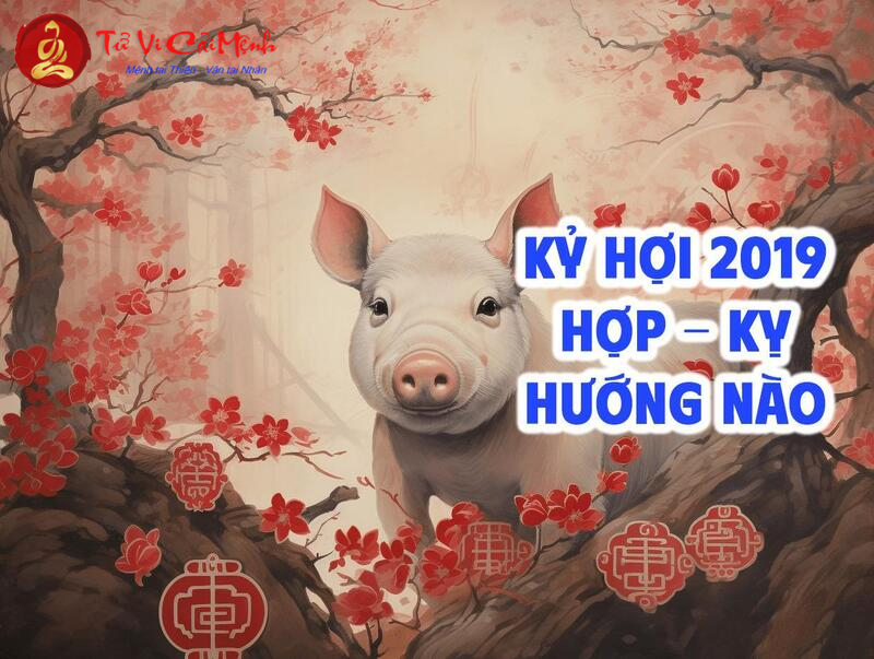 Sinh Năm 2019 Hợp Hướng Nào? Chọn Hướng Nhà Để Thu Hút Tài Lộc