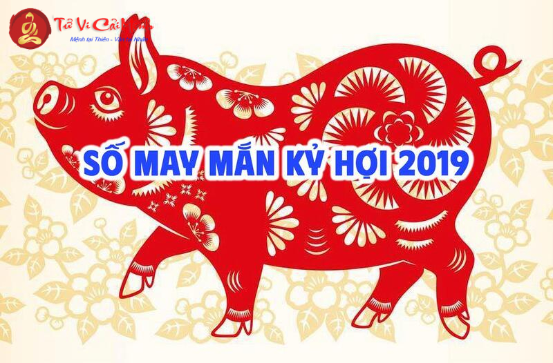 Sinh Năm 2019 Hợp Số Mấy? Cách Chọn Sim Phong Thủy Để Thu Hút May Mắn