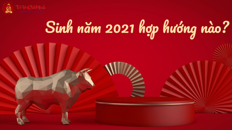 Sinh Năm 2021 Hợp Hướng Nào? Chọn Hướng Nhà Giúp Gia Tăng Tài Lộc Và May Mắn