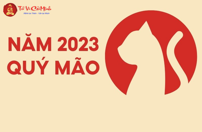 Hướng Bàn Làm Việc Cho Người Sinh Năm 2023 Giúp Tăng Tài Lộc Và Thành Công