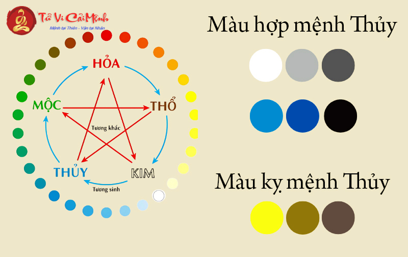 Sinh Năm 2026 Hợp Màu Gì? Chọn Màu Phong Thủy Giúp Thu Hút Tài Lộc