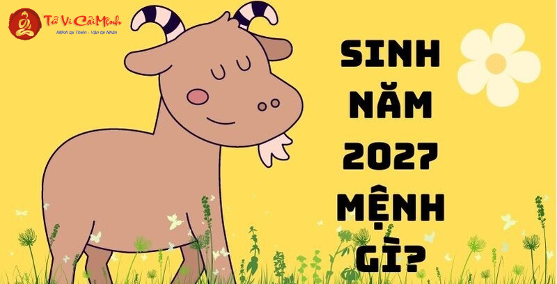 Giải Mã Vận Mệnh Tuổi Đinh Mùi 2027 – Bí Mật Mệnh Thủy