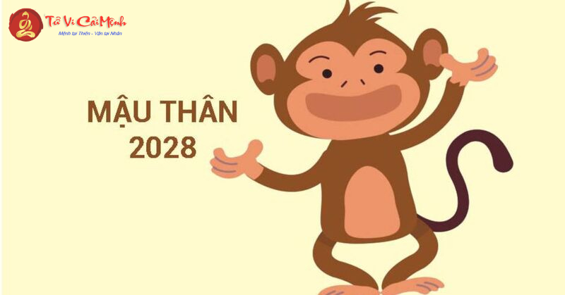 Sinh Năm 2028 Hợp Màu Gì? Chọn Màu Phong Thủy Để Thu Hút Tài Lộc