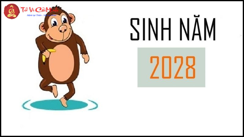 Sinh Năm 2028 Hợp Số Mấy? Chọn Sim Phong Thủy Cho Người Sinh Năm 2028