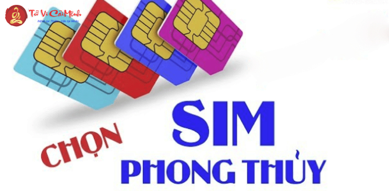 Sinh Năm 2029 Hợp Số Mấy? Cách Chọn Sim Phong Thủy Giúp Tăng Tài Lộc