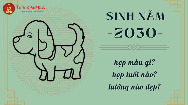 Sinh Năm 2030 Hợp Màu Gì? Chọn Màu Phong Thủy Mang Lại May Mắn