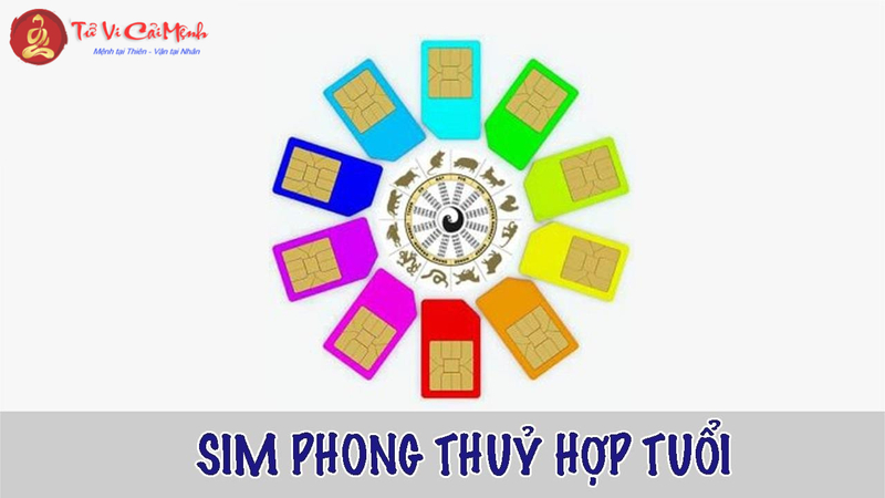 Sinh Năm 2030 Hợp Số Mấy? Cách Chọn Sim Phong Thủy Mang Lại Tài Lộc