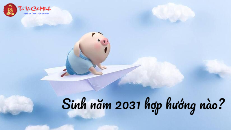 Sinh Năm 2031 Hợp Hướng Nào? Chọn Hướng Để Đón Tài Lộc Và Bình An