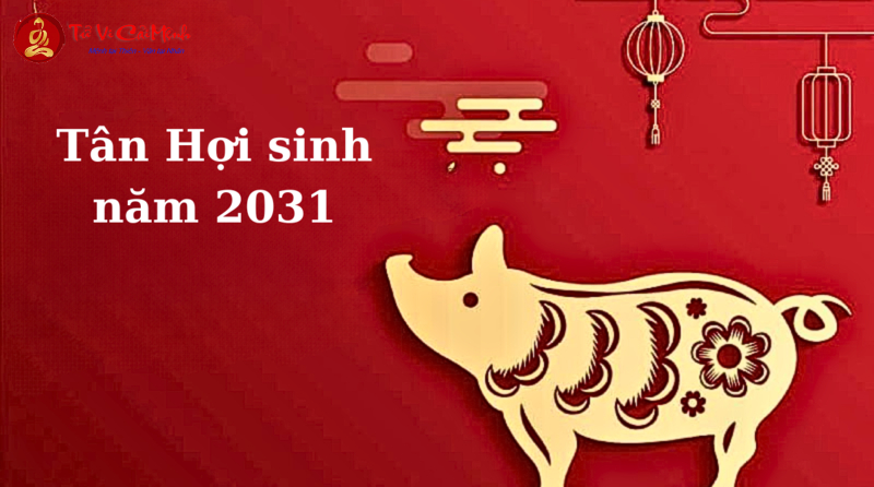 Sinh Năm 2031 Mua Xe Màu Gì? Chọn Màu Xe Hợp Phong Thủy Để Hút Tài Lộc