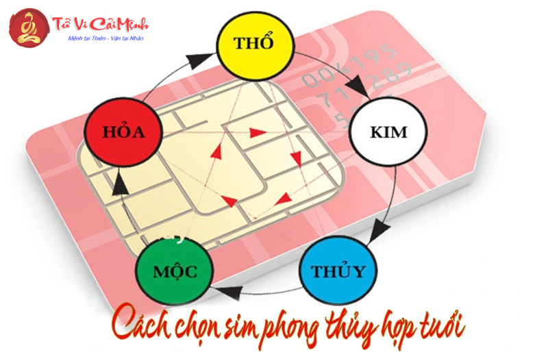 Sinh Năm 2034 Hợp Số Mấy? Chọn Sim Phong Thủy Để Hút Tài Lộc