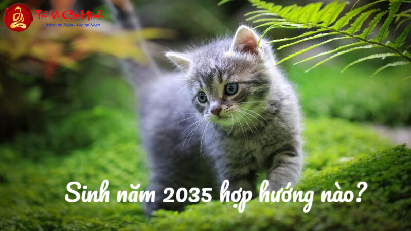 Sinh Năm 2035 Hợp Hướng Nào? Chọn Hướng Nhà Giúp Đón Tài Lộc