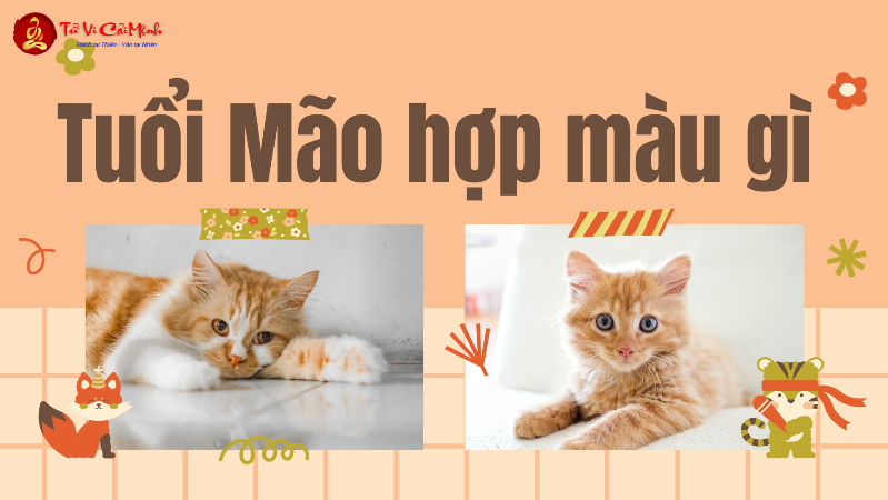 Sinh Năm 2035 Hợp Màu Gì? Chọn Màu Hợp Phong Thủy Để Thu Hút May Mắn